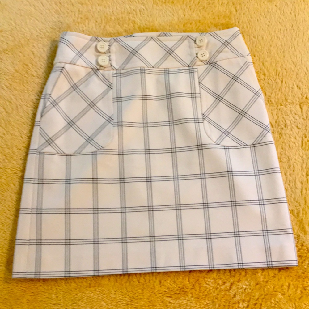 Ann Taylor Loft Skirt